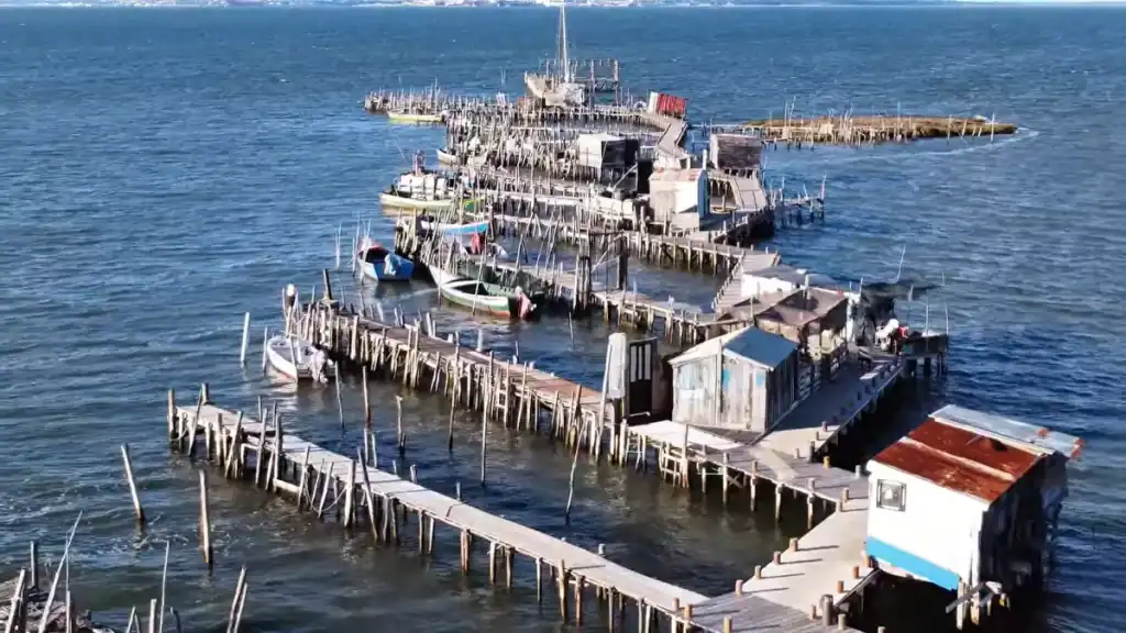 Aerial shot of Carrasqueira palafitic fishing pier with wooden stilt walkways and moored boats on the Sado estuary