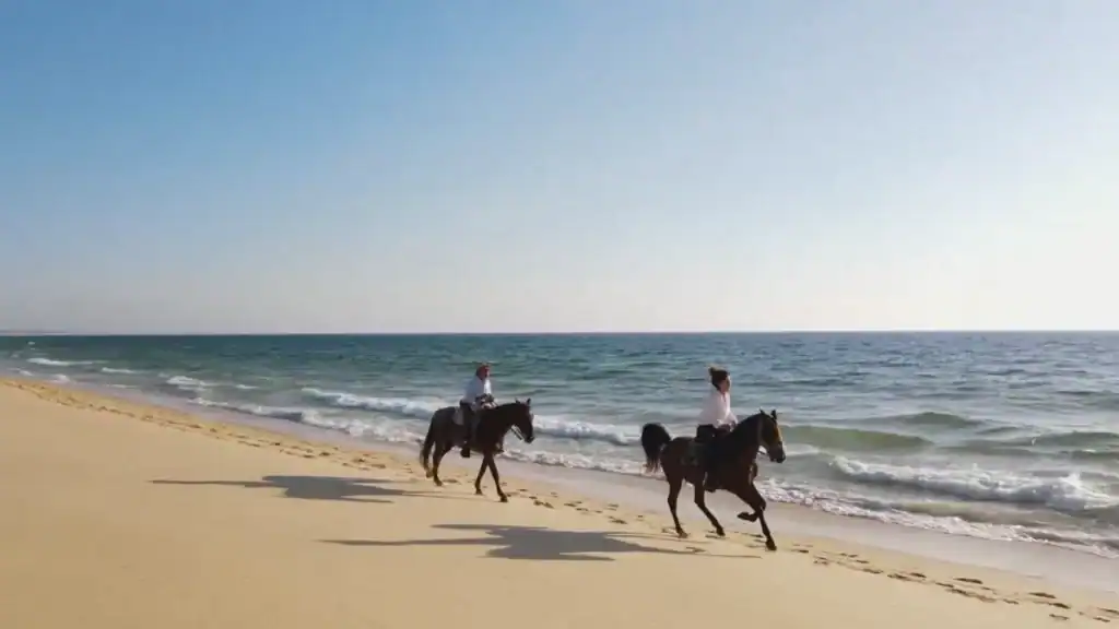Two riders on dark horses cantering along a wide empty shoreline beside calm turquoise water