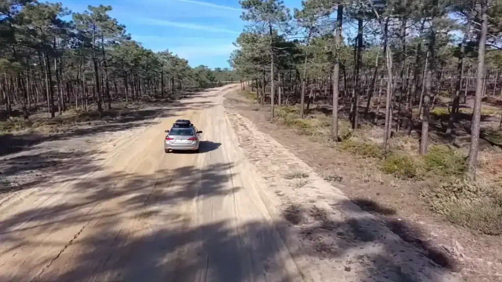 Car driving along a sandy pine forest track near Comporta on the Lisbon to Comporta road trip