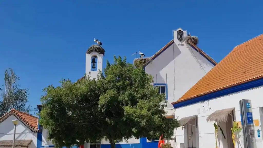 White chapel bell tower and village rooftops with stork nests against a deep blue sky