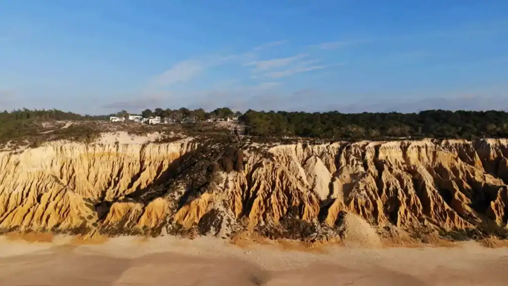 Deeply eroded ochre and rust sandstone cliffs above a beach with pine forest on the plateau