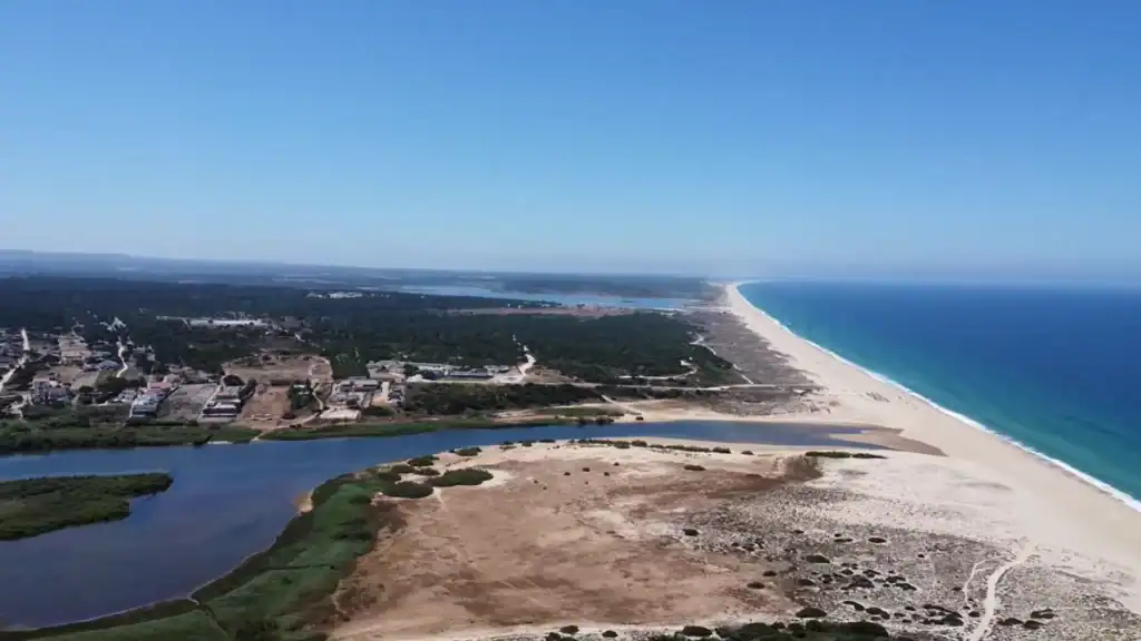 Aerial view of a lagoon, pine forest, and long Atlantic beach stretching to the horizon