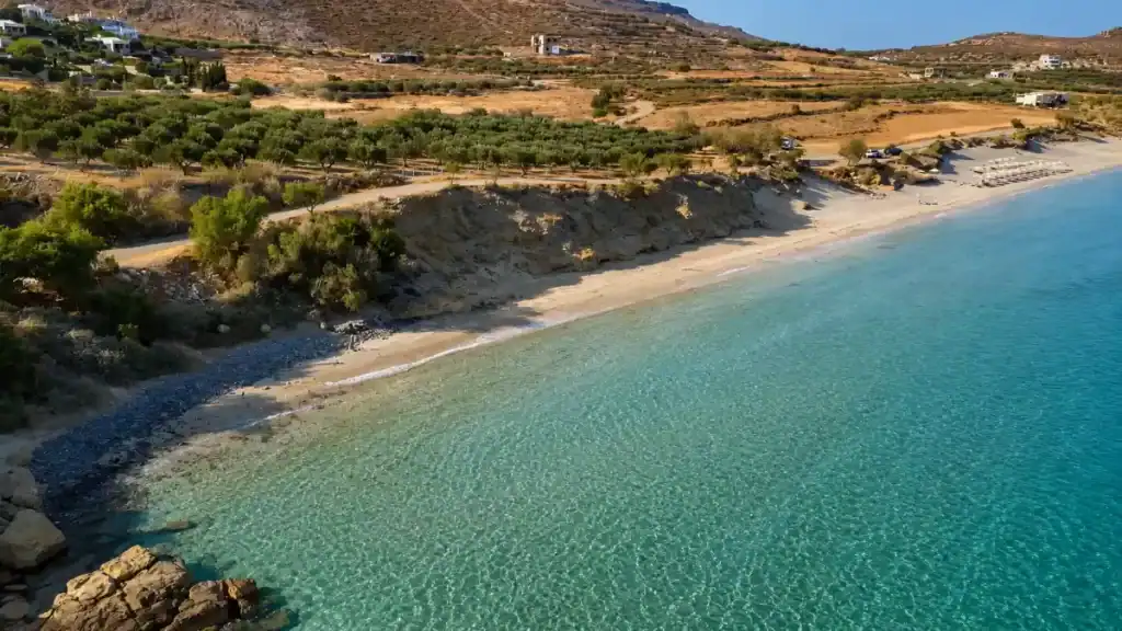 Aerial view of olive groves and sandy shoreline at Mazida Ammos near Xerokampos