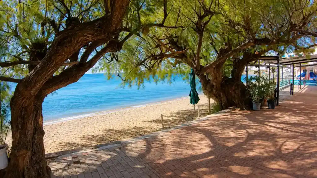 Tamarisk trees shading the brick promenade beside the sand at Makry Gialos