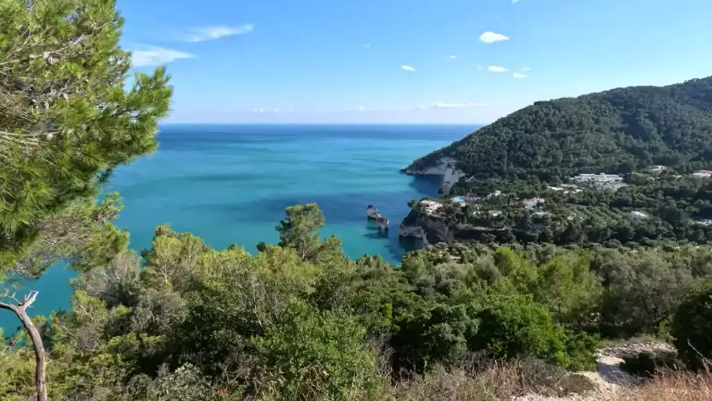 Pine-covered headland overlooking turquoise water and the Faraglioni sea stacks near Mattinata.
