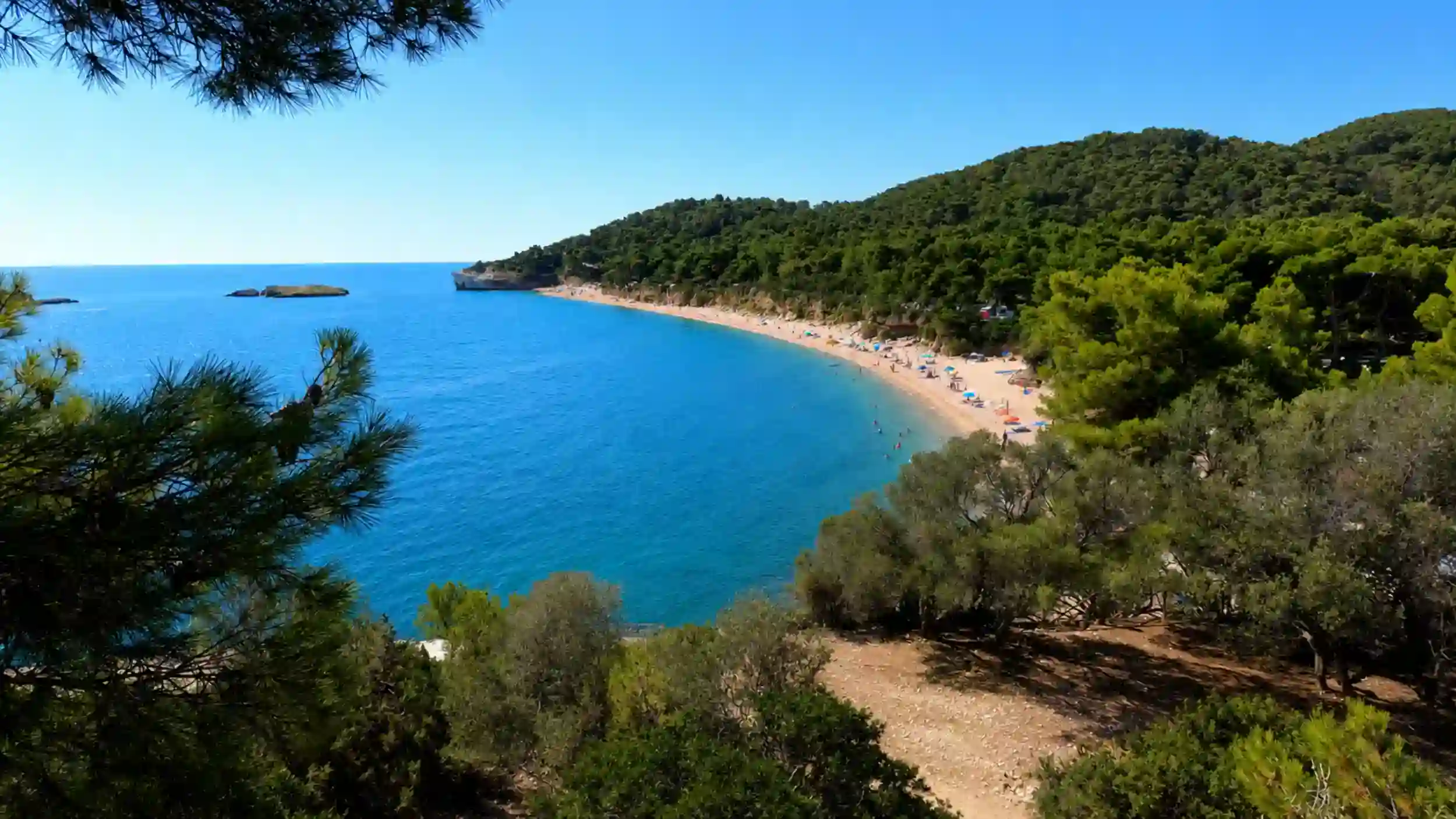 Curved sandy shoreline of Baia di Campi framed by pine trees during days in Gargano Puglia.