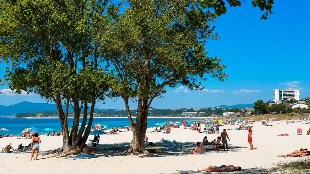 Sunbathers on O Vao beach in Vigo shaded by large trees on white sand