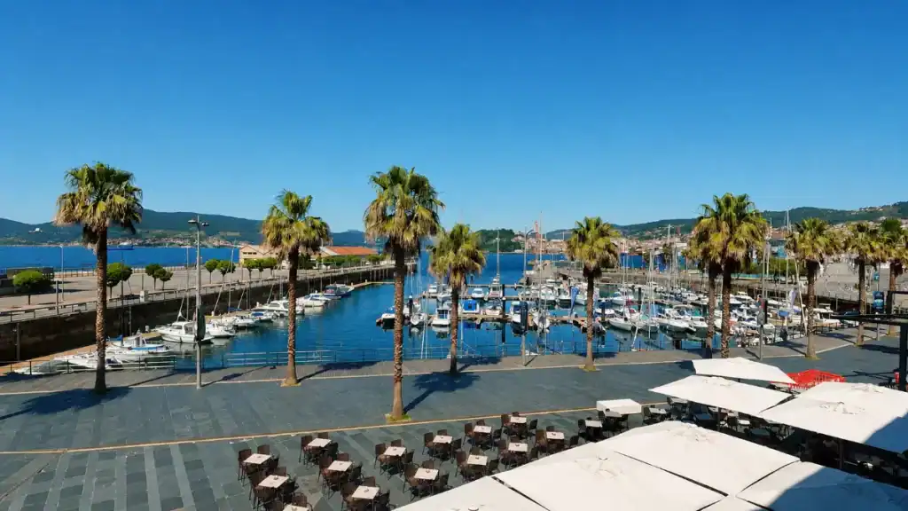 Palm-lined waterfront plaza beside Vigo marina with yachts and outdoor café seating