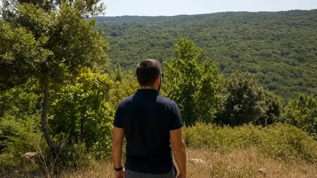 Man looking out over the rolling green hills of the Foresta Umbra from a hilltop clearing.