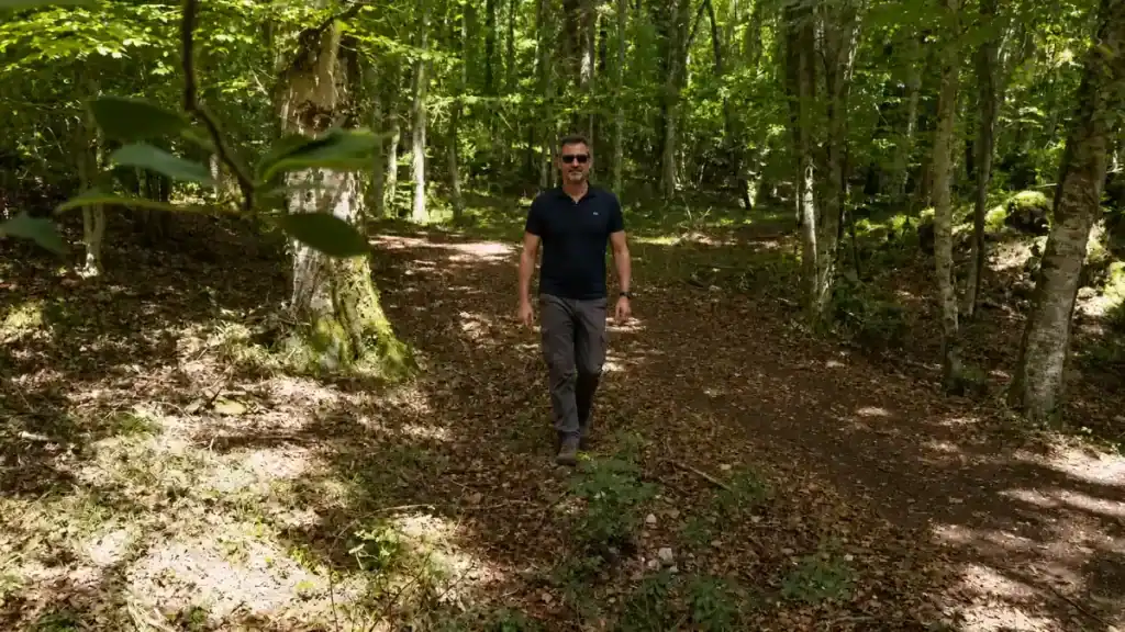 Hiker walking along a leaf-covered trail beneath tall beech trees in the Gargano woodland.