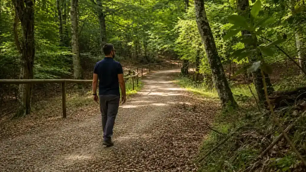Walker on a gravel forest road lined with wooden fencing.