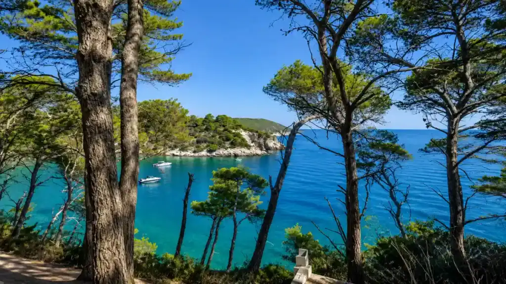 Aleppo pines framing anchored boats in a turquoise cove along the Litoranea per Vieste.