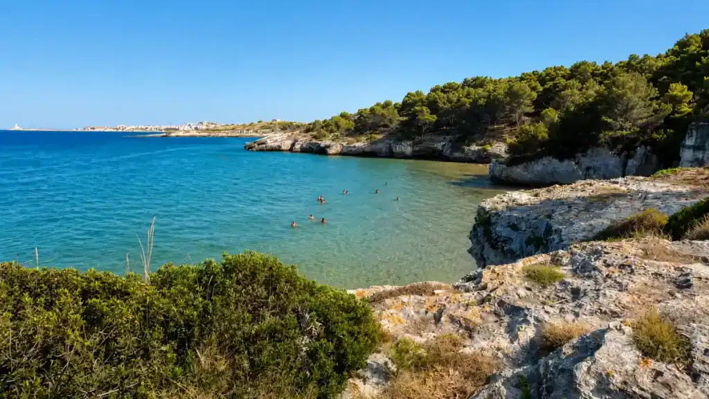 Swimmers wading in a sheltered cove with Vieste visible across the bay.