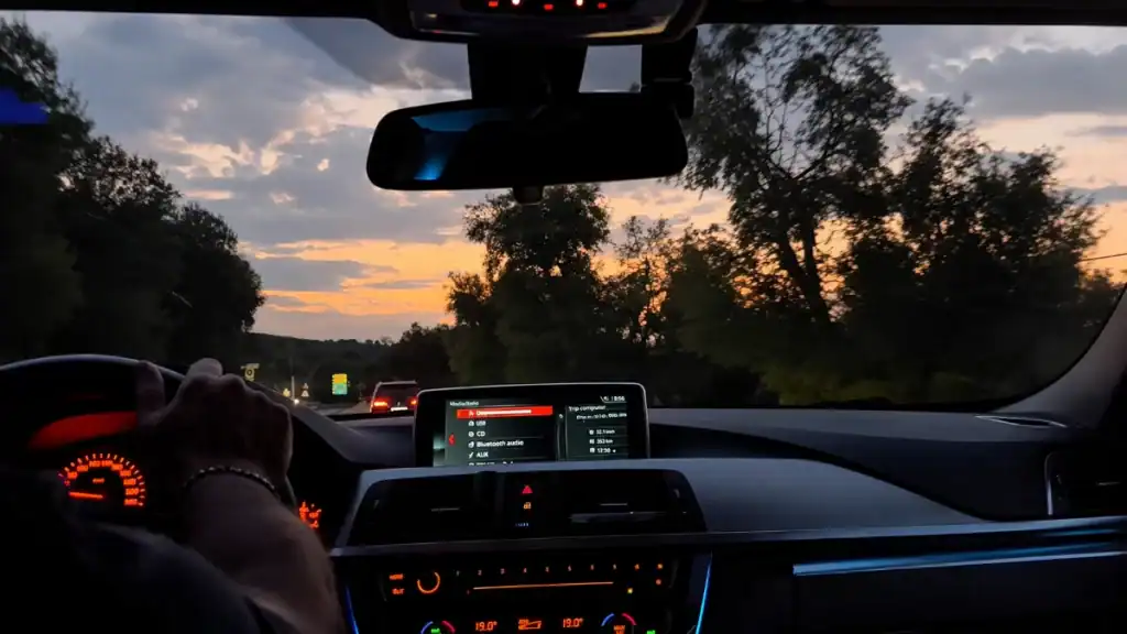 Driver's view from inside a car heading along a Gargano road at dusk.