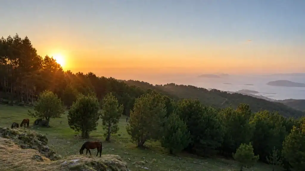 Wild horses grazing on a hilltop above Baiona at sunset with the Cíes Islands and the Rías Baixas coastline stretching below in October