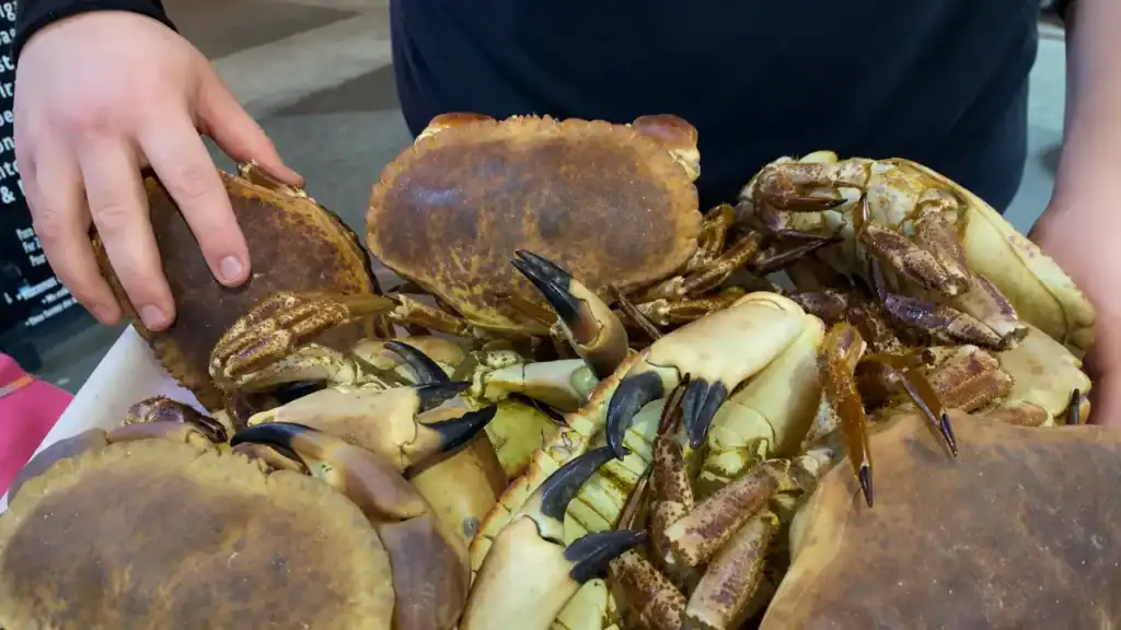 Hands holding a tray piled with fresh brown crabs and spider crabs at a Baiona seafood market stall