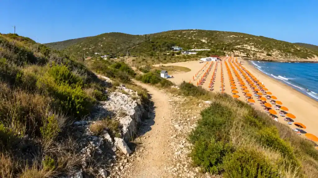 Rows of orange parasols lining Spiaggia di Manaccora seen from a clifftop path.