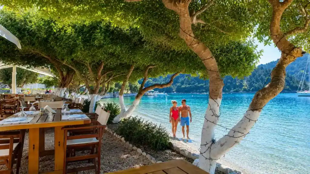 A whitewashed olive tree frames dining tables beside the shore at Mongonissi.