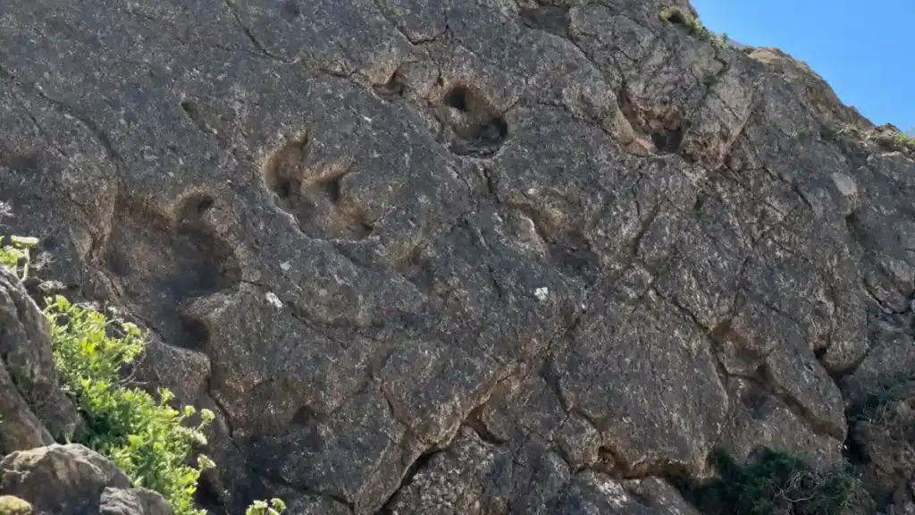 Dinosaur footprints preserved in cliffside rock above the Sintra coastline