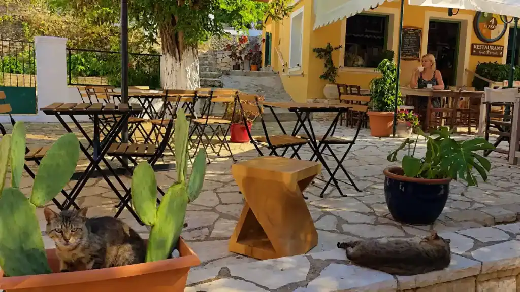 A cat perches in a cactus pot outside 4 Seasons Restaurant in Loggos village square.