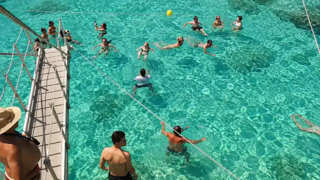 Snorkelers and swimmers floating beside a catamaran's boarding platform in shallow crystal water.