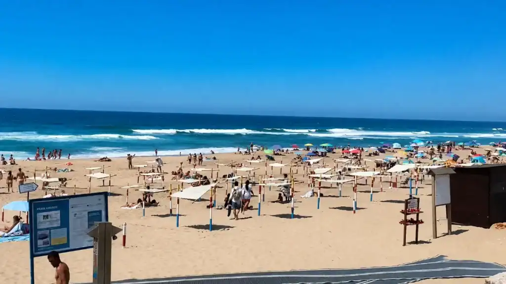 Rows of shade frames and sunbathers spread across a wide Atlantic beach on a summer day
