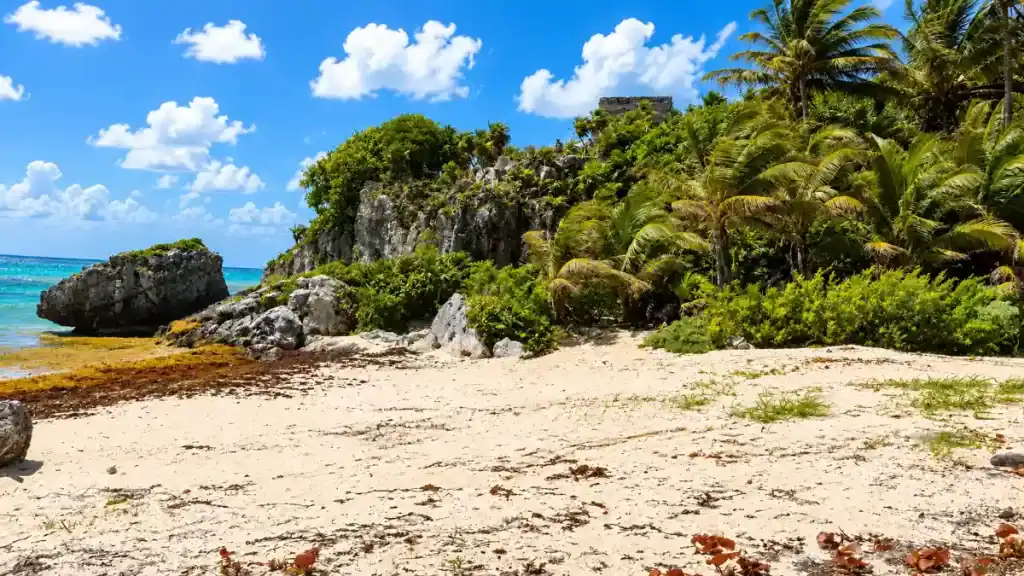 Limestone cliffs and palms shelter the beach are the tulum ruins worth visiting travelers find below the site