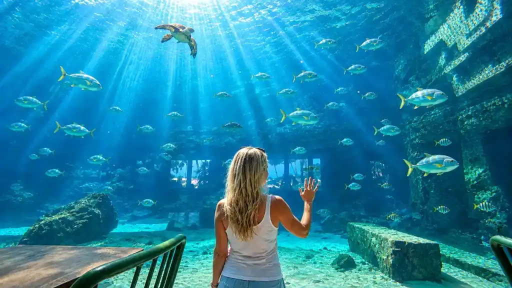 Woman watches a sea turtle glide past the marine habitat, why is Atlantis Bahamas worth it comes up