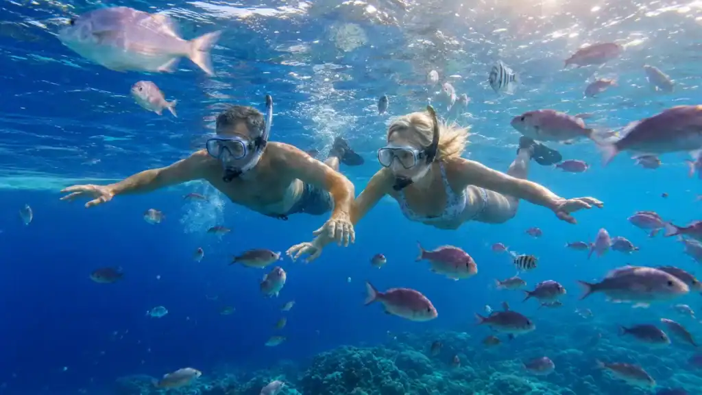 Snorkelers surrounded by reef fish at Balicasag Island, a highlight of the best Bohol itinerary