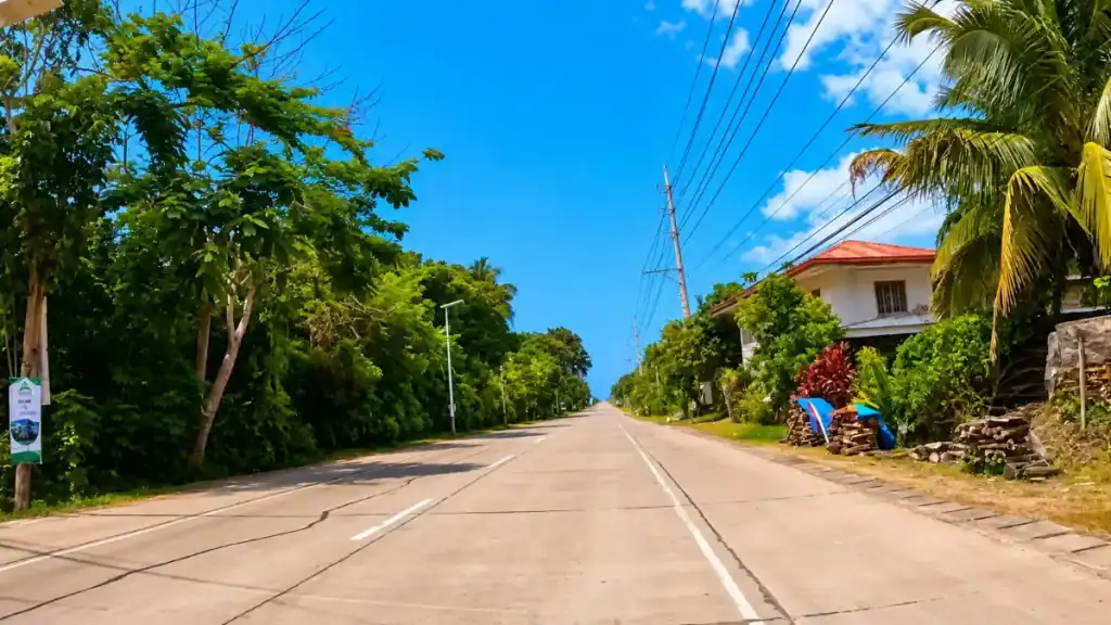 Empty tree-lined road connecting Panglao to Tagbilaran City