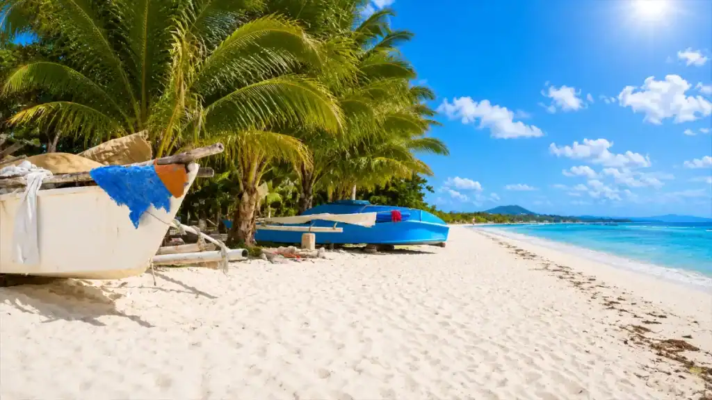 Traditional bangka boats resting under palms on Panglao's White Beach
