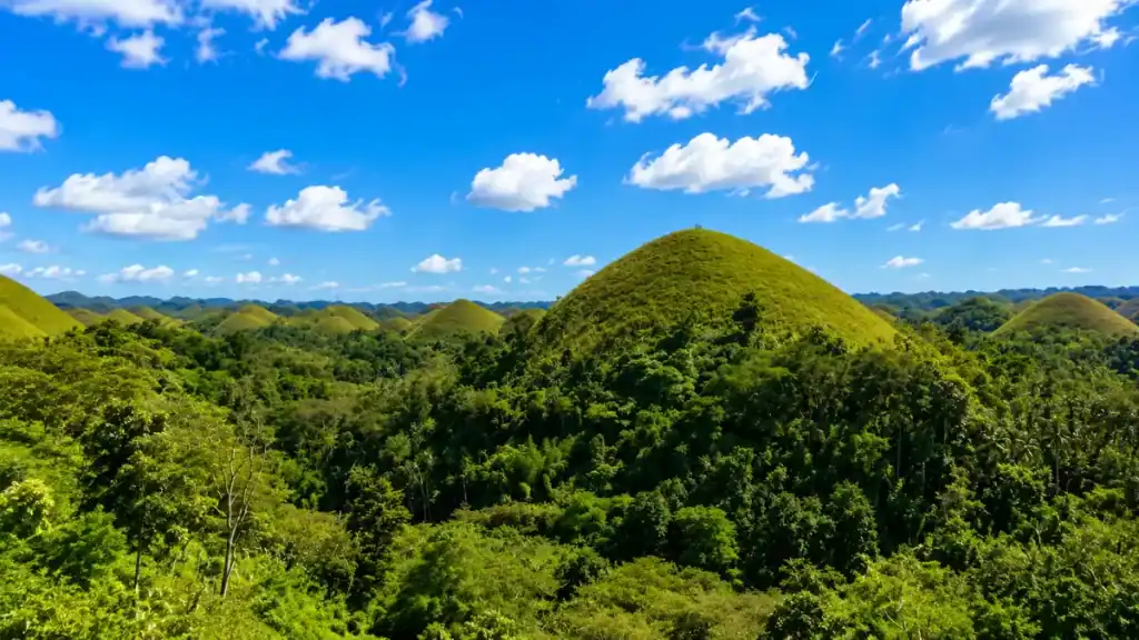 Rounded green mounds rise above dense forest at the Chocolate Hills viewpoint near Carmen.