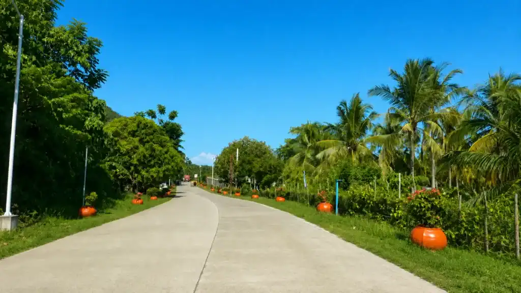 Palm-lined coastal road curves past terracotta planters near Panglao's shoreline villages.