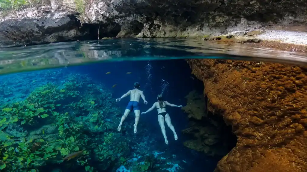 Swimmers glide through a limestone cenote near Tulum with fish among the greenery.