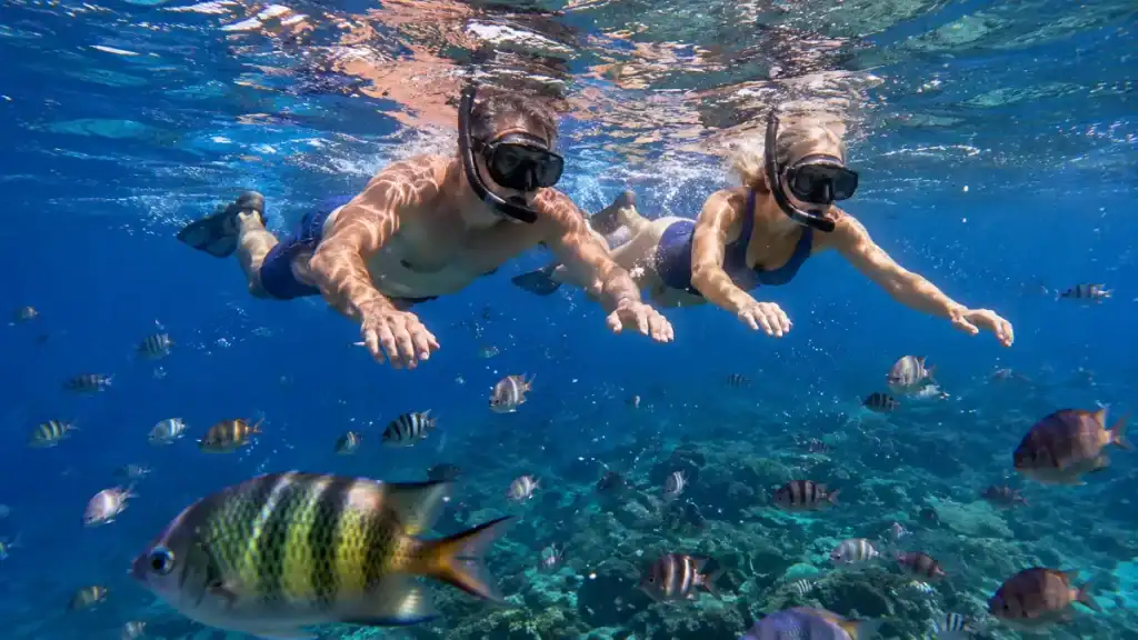 Snorkelers swim through schools of striped reef fish above the coral gardens off Balicasag Island.