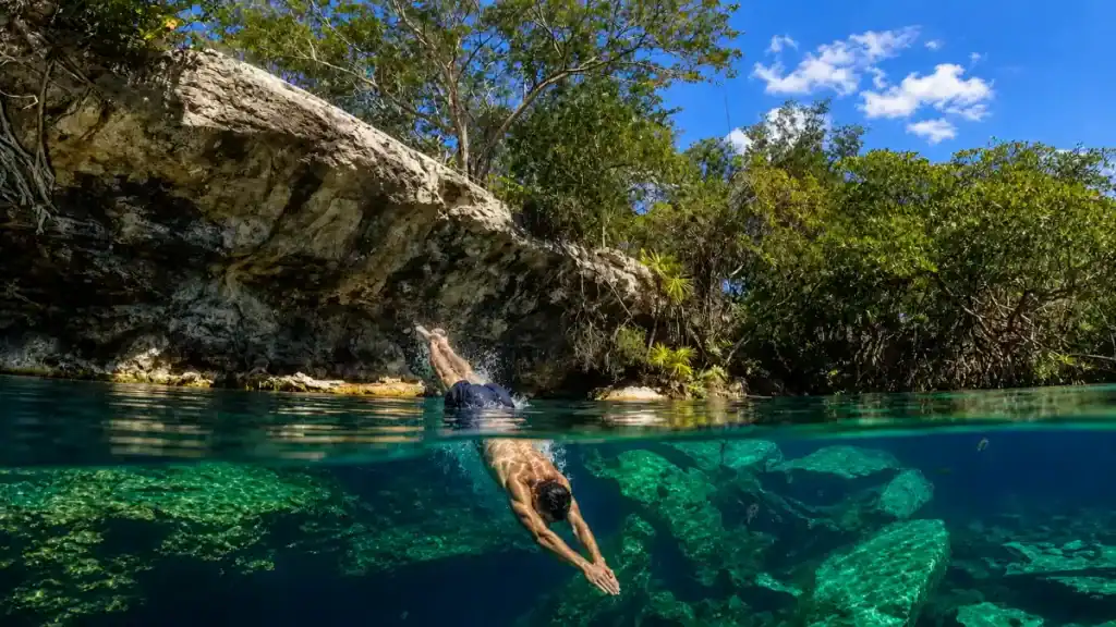 A split-level shot of a swimmer diving into Cenote Cristalino, proof Tulum is the best base for cenotes.