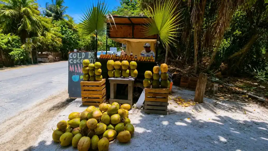 roadside coconut stand along a jungle road outside Tulum, the kind of local stop that makes is Tulum worth visiting