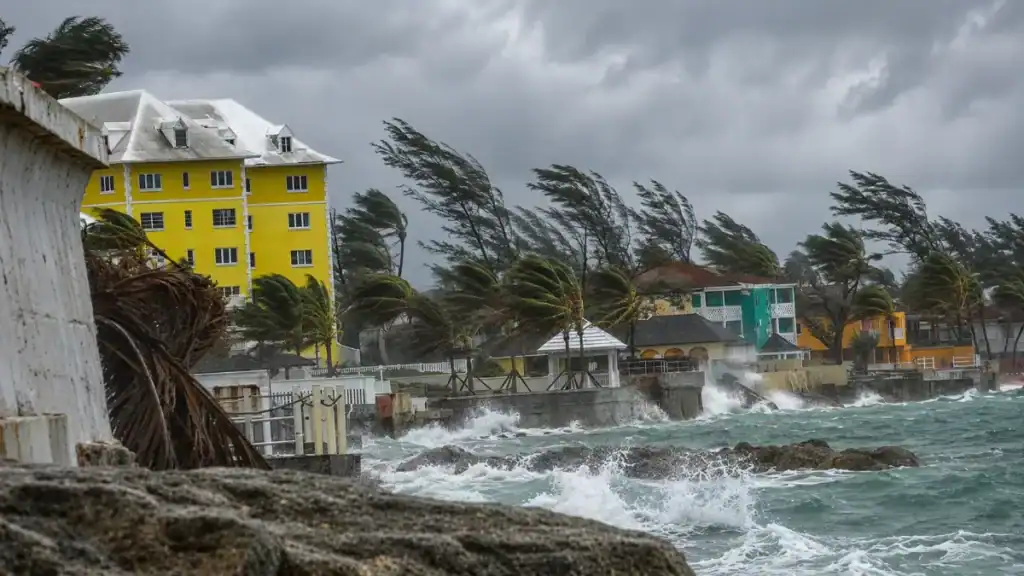 Palm trees bend in storm winds along Nassau's coast during hurricane season