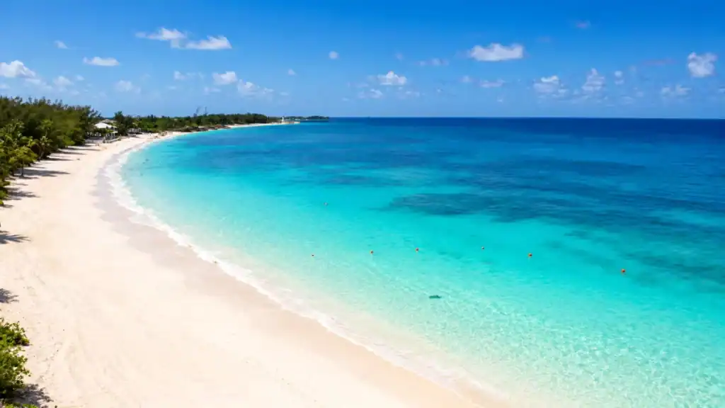 Turquoise water curves along a palm-lined shoreline on New Providence