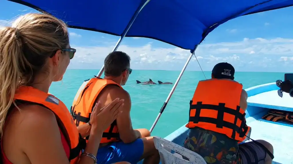 Passengers spot dolphin fins breaking the surface near Punta Allen