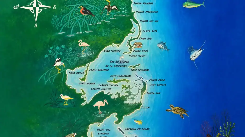 Illustrated map of Ascension Bay's lagoons, cayes, and wildlife near Tulum