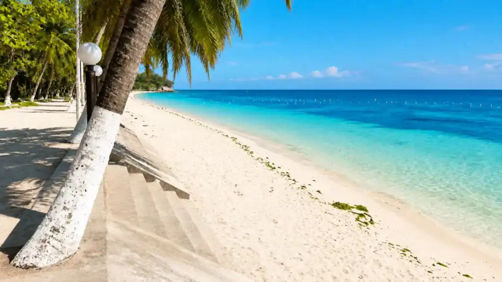 Whitewashed palm trunks line the sand at Alona Beach, a top pick for where to stay in Bohol