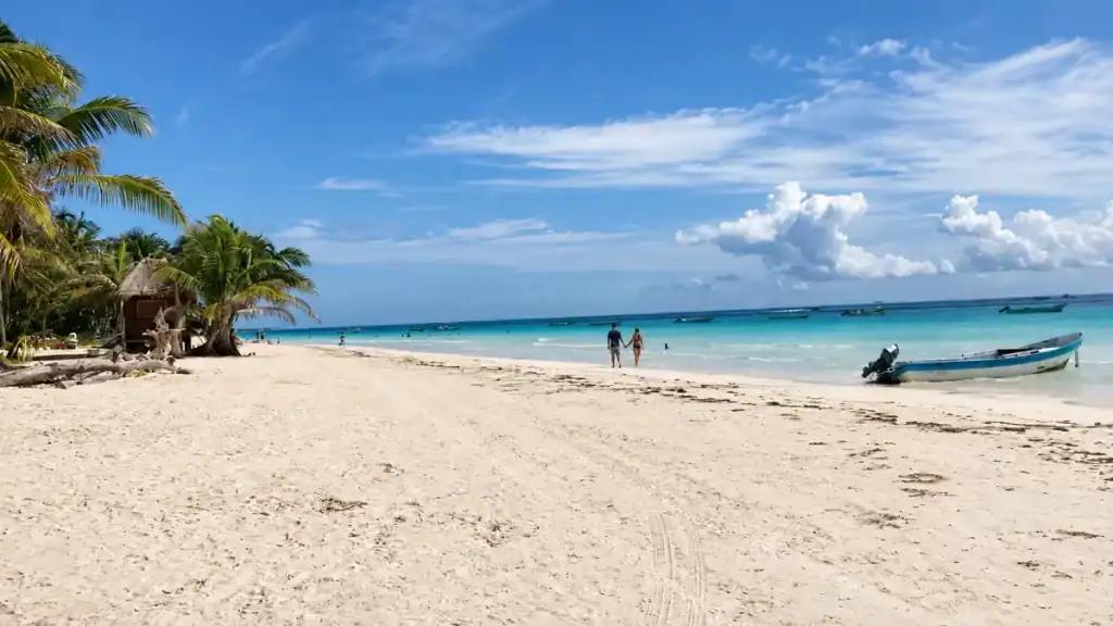 Turquoise water and palm-lined sand at Playa Paraiso, answering who Tulum is really for