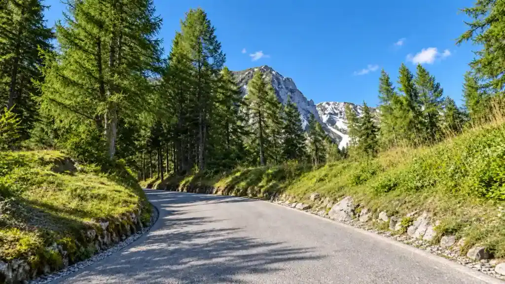 A narrow paved bend climbs through pine forest toward snow-streaked peaks on Vršič Pass