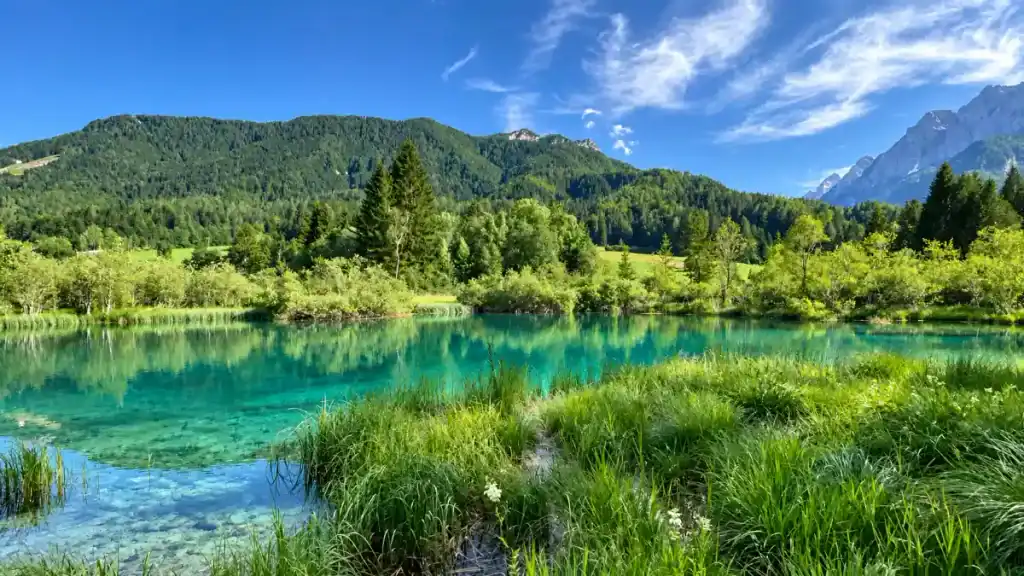Reed grass frames the vivid blue spring pool at Zelenci Nature Reserve
