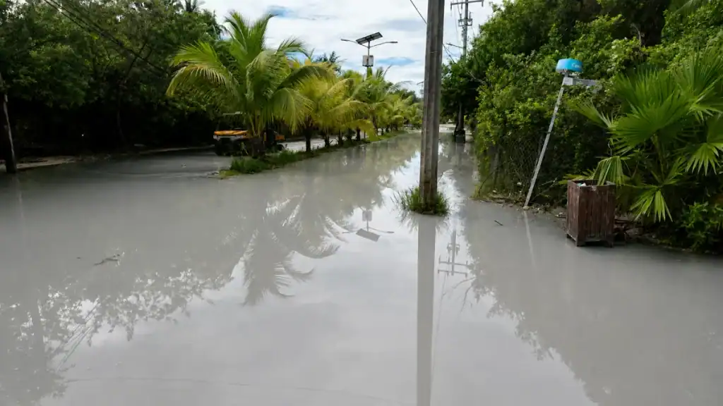 Flooded street reflecting palm trees near a parked utility cart in Holbox
