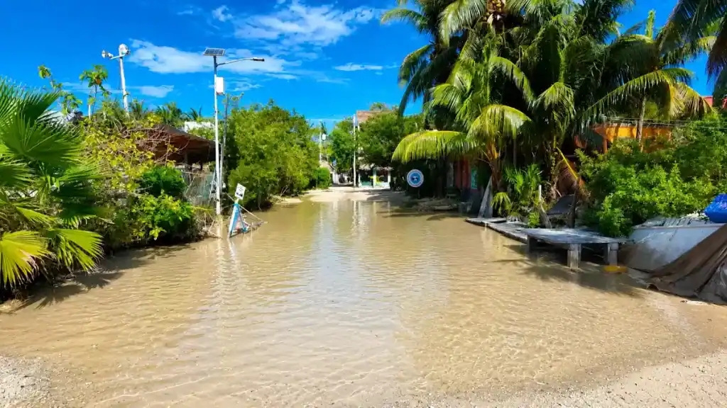 Flooded street lined with palm trees in Holbox town after heavy rain
