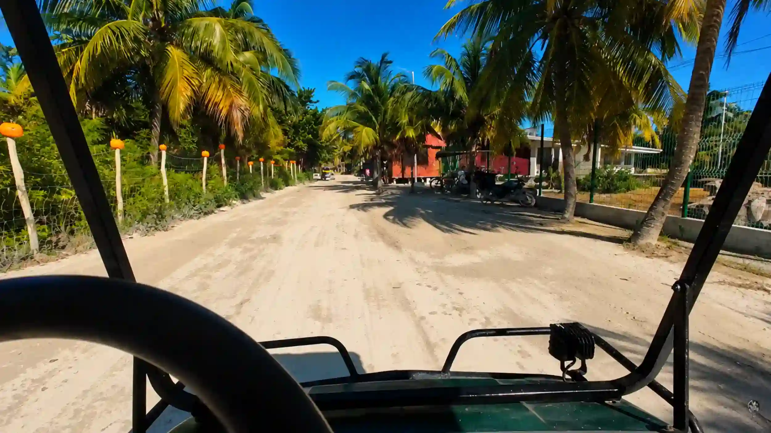 Golf cart driving a sandy palm-lined road, illustrating getting around Holbox