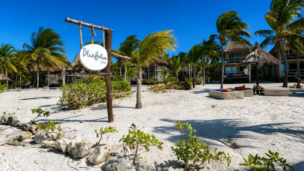 Blue Holbox Hotel sign among palms hints at whether is Holbox expensive for beachfront stays.