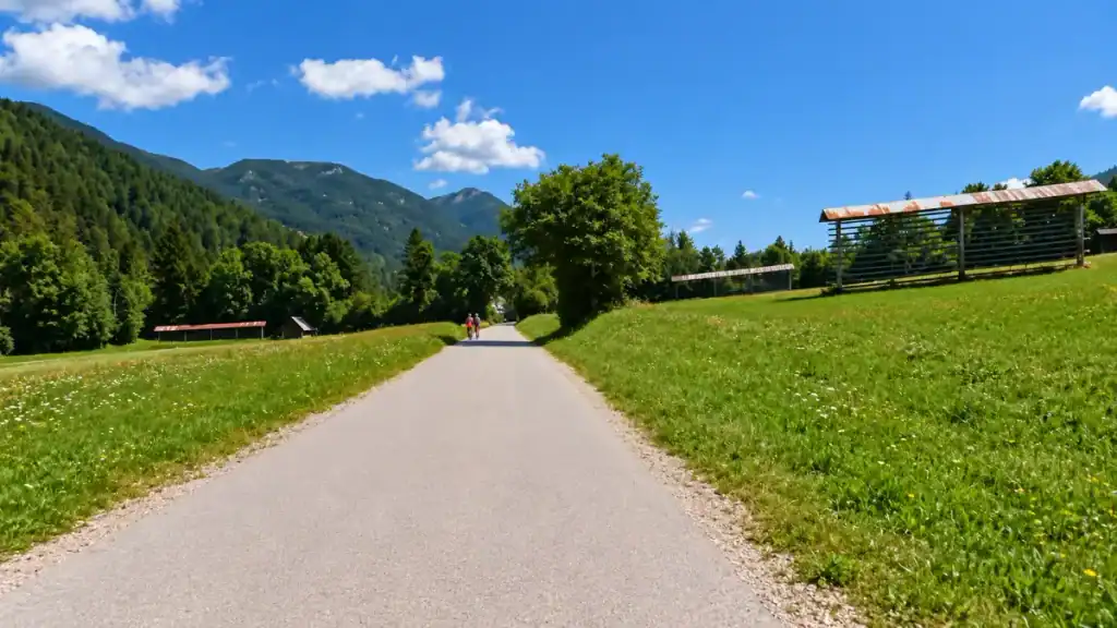 Paved path lined with wildflower meadows and a traditional hay rack near Kranjska Gora